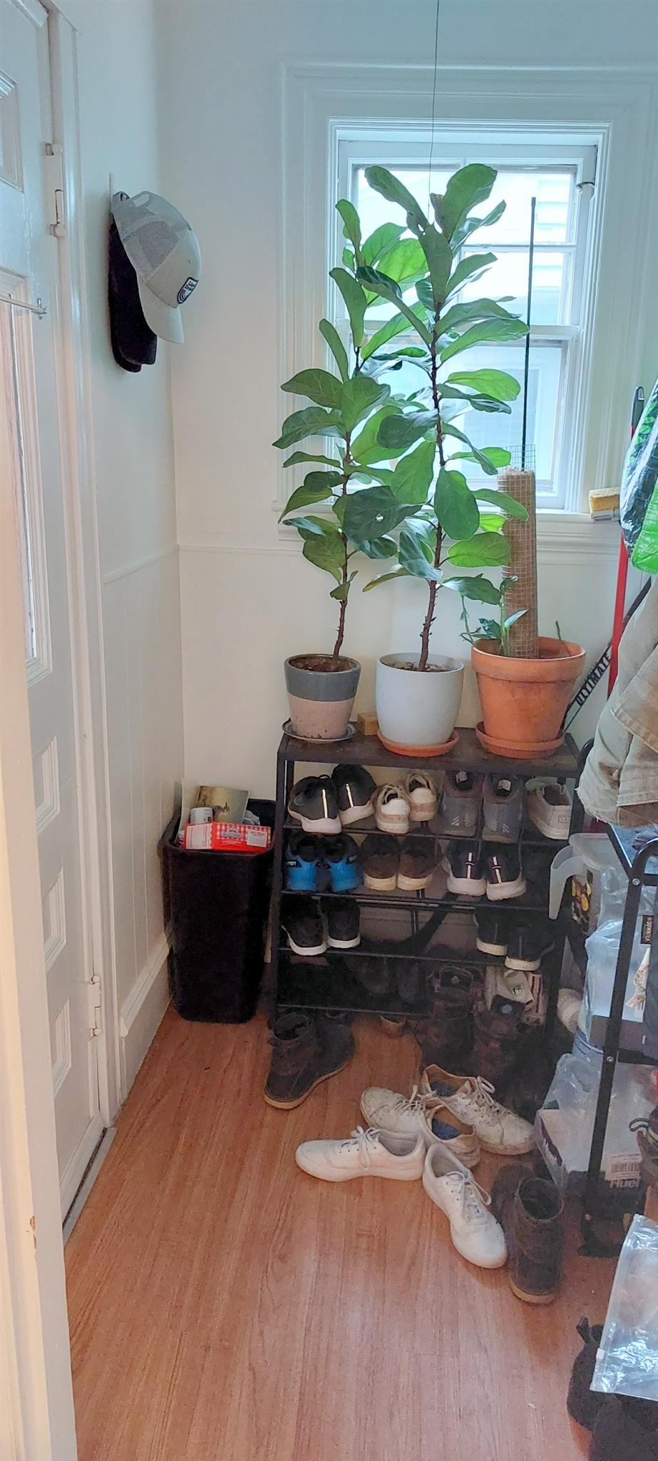 65 Willow Ave, Davis Square