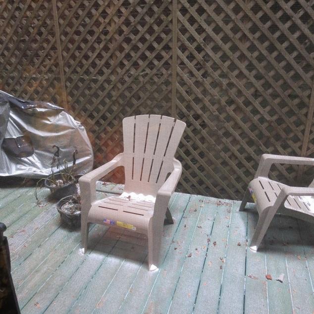 33 Winchester St, Back Bay