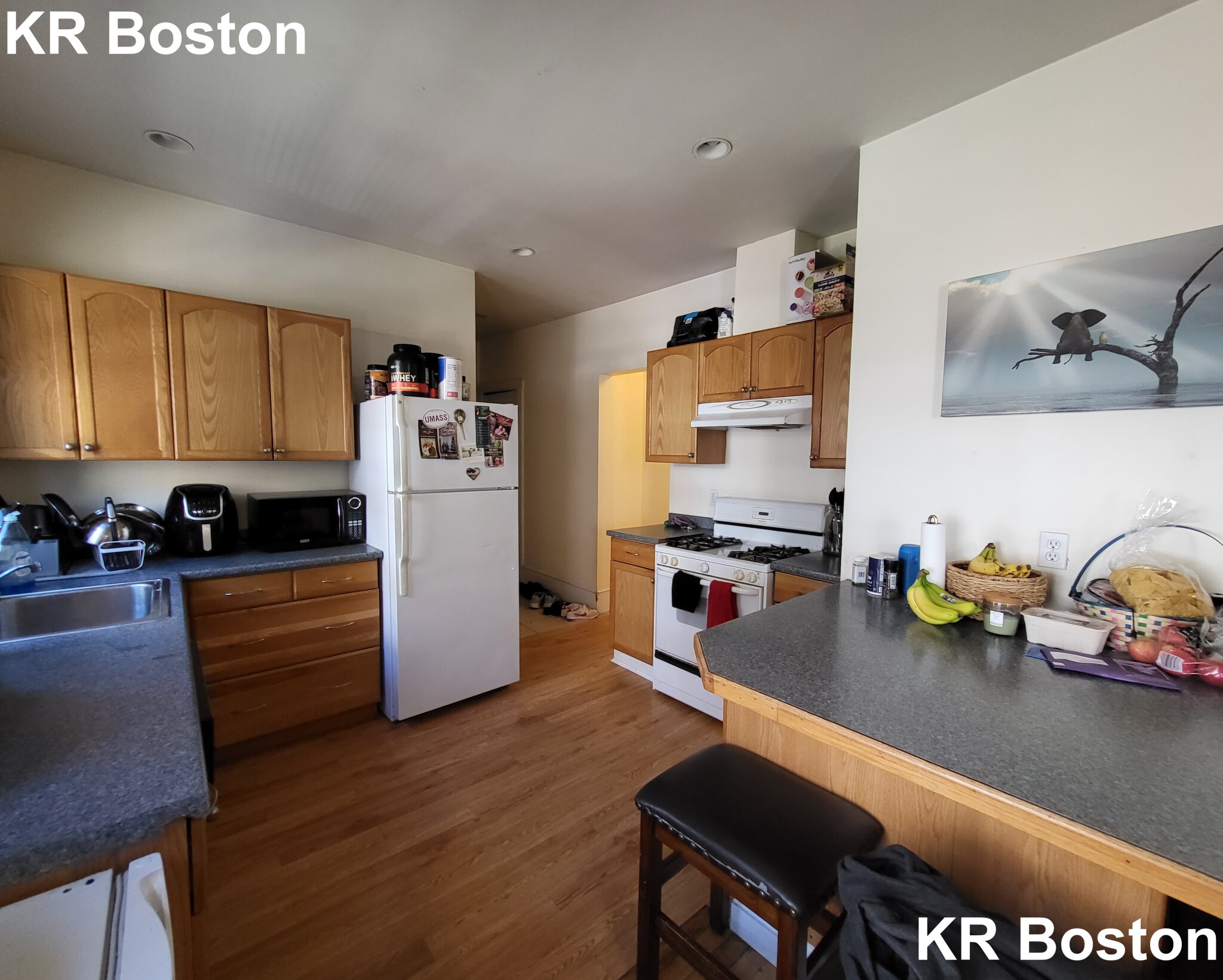 335 Faneuil St, Brighton