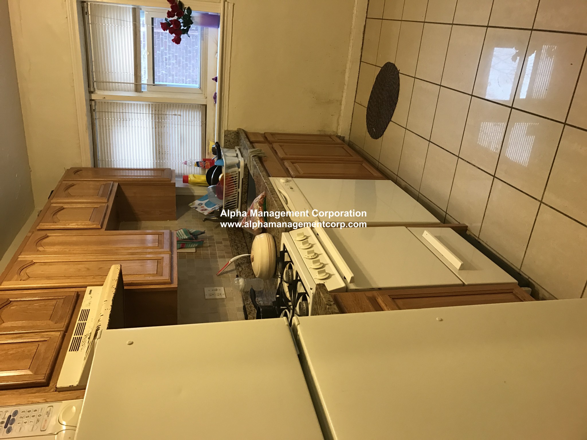 3 President Ter, Allston