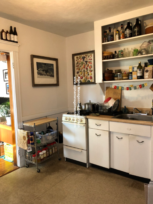 14 Lakeville Rd, Jamaica Plain