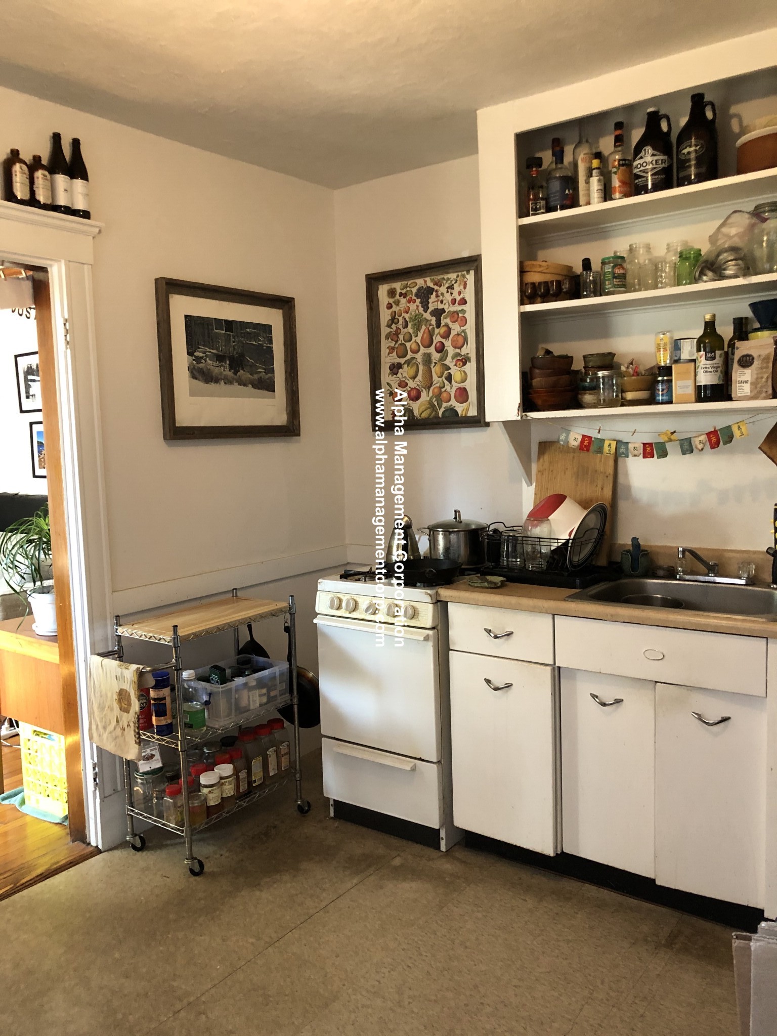 16 Lakeville Rd, Jamaica Plain