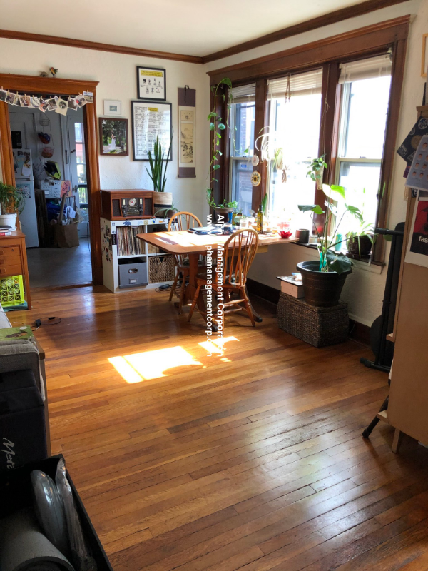 14 Lakeville Rd, Jamaica Plain