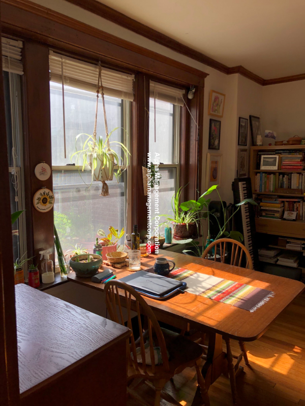 14 Lakeville Rd, Jamaica Plain