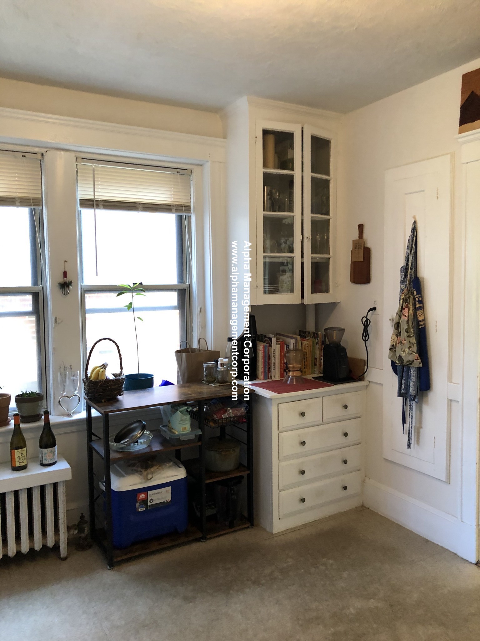 16 Lakeville Rd, Jamaica Plain