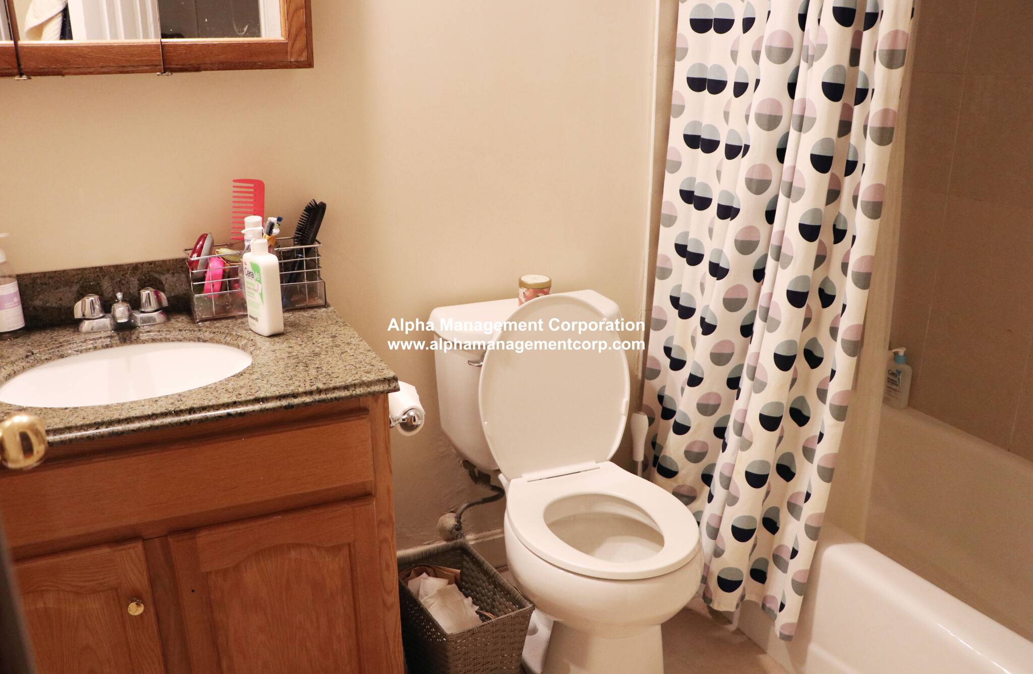 18 Euston St, Brookline