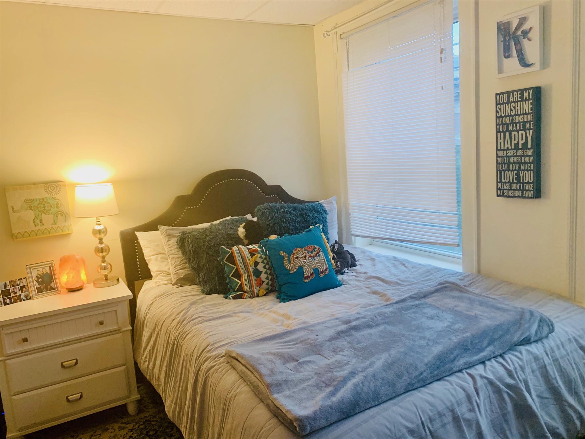 36 College Ave, Tufts