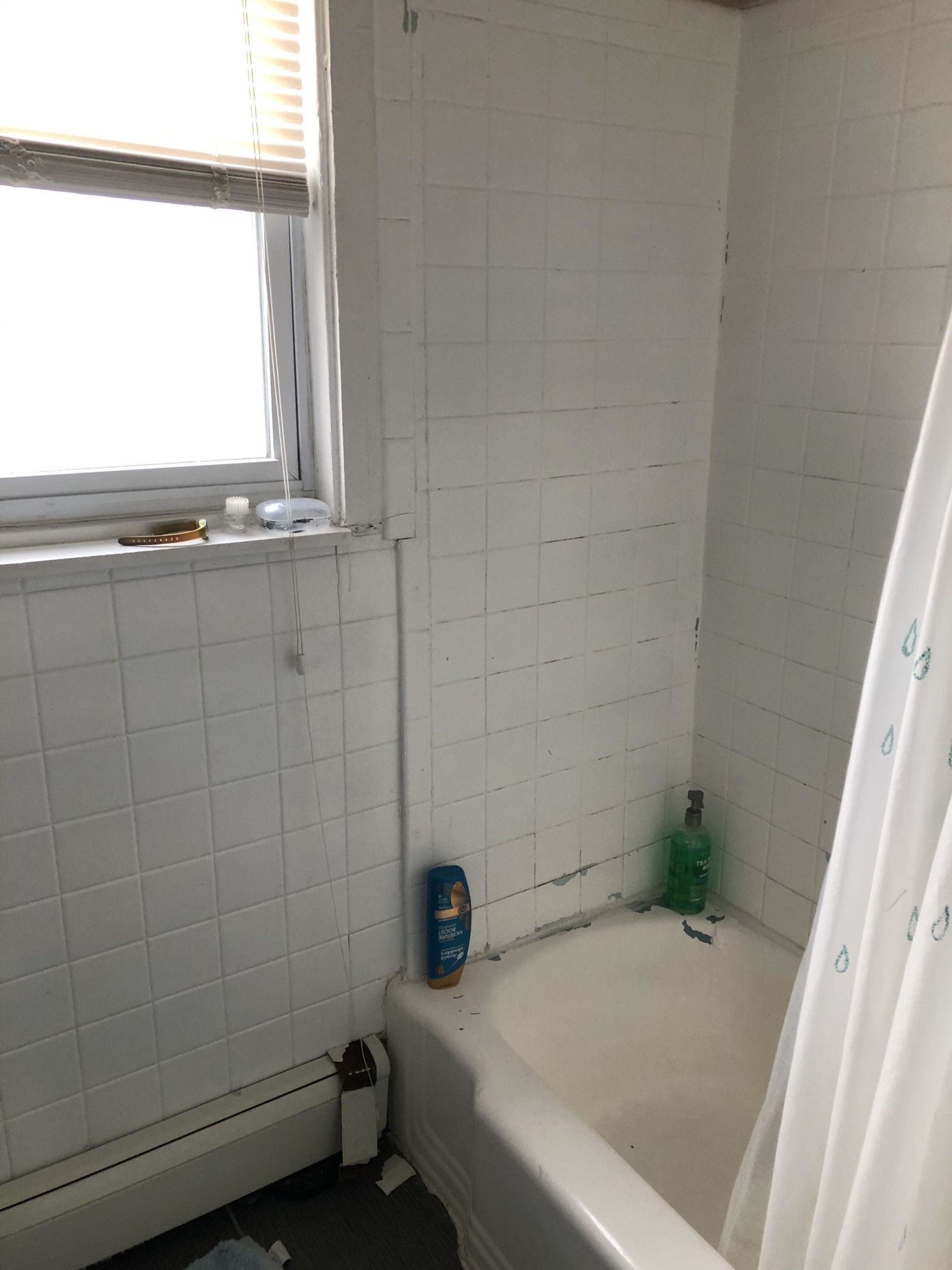 71 Chestnut Hill Ave, Brighton