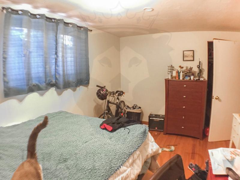 365 Faneuil St, Brighton