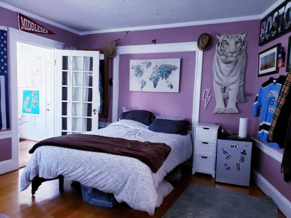 233-235 Commonwealth Ave, Chestnut Hill