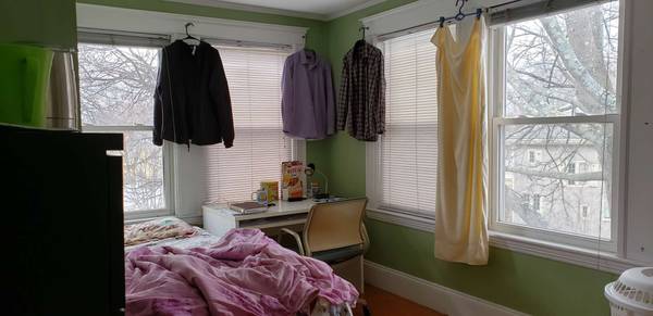 233-235 Commonwealth Ave, Chestnut Hill