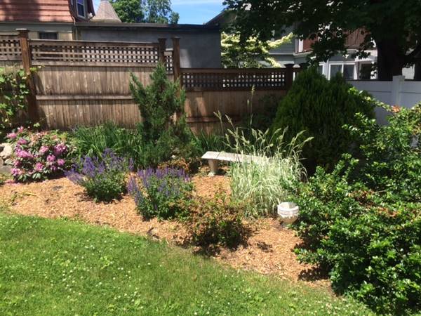 29 Ricker Rd, Newton Corner