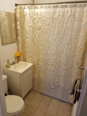 243 Lake St, Lakeview