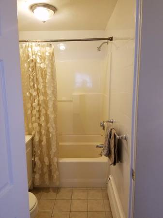 243 Lake St, Lakeview