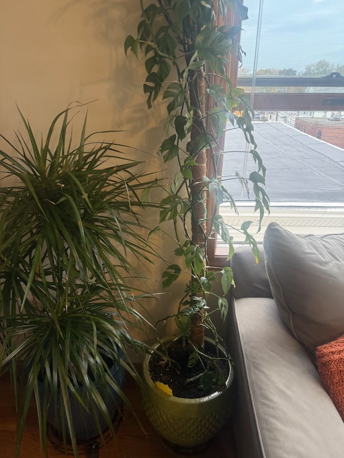 195 Newton St, Waltham