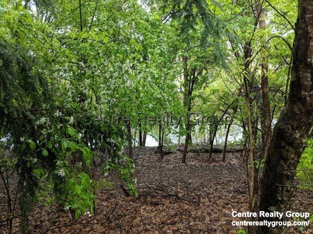 69 Saco St, Newton Upper Falls