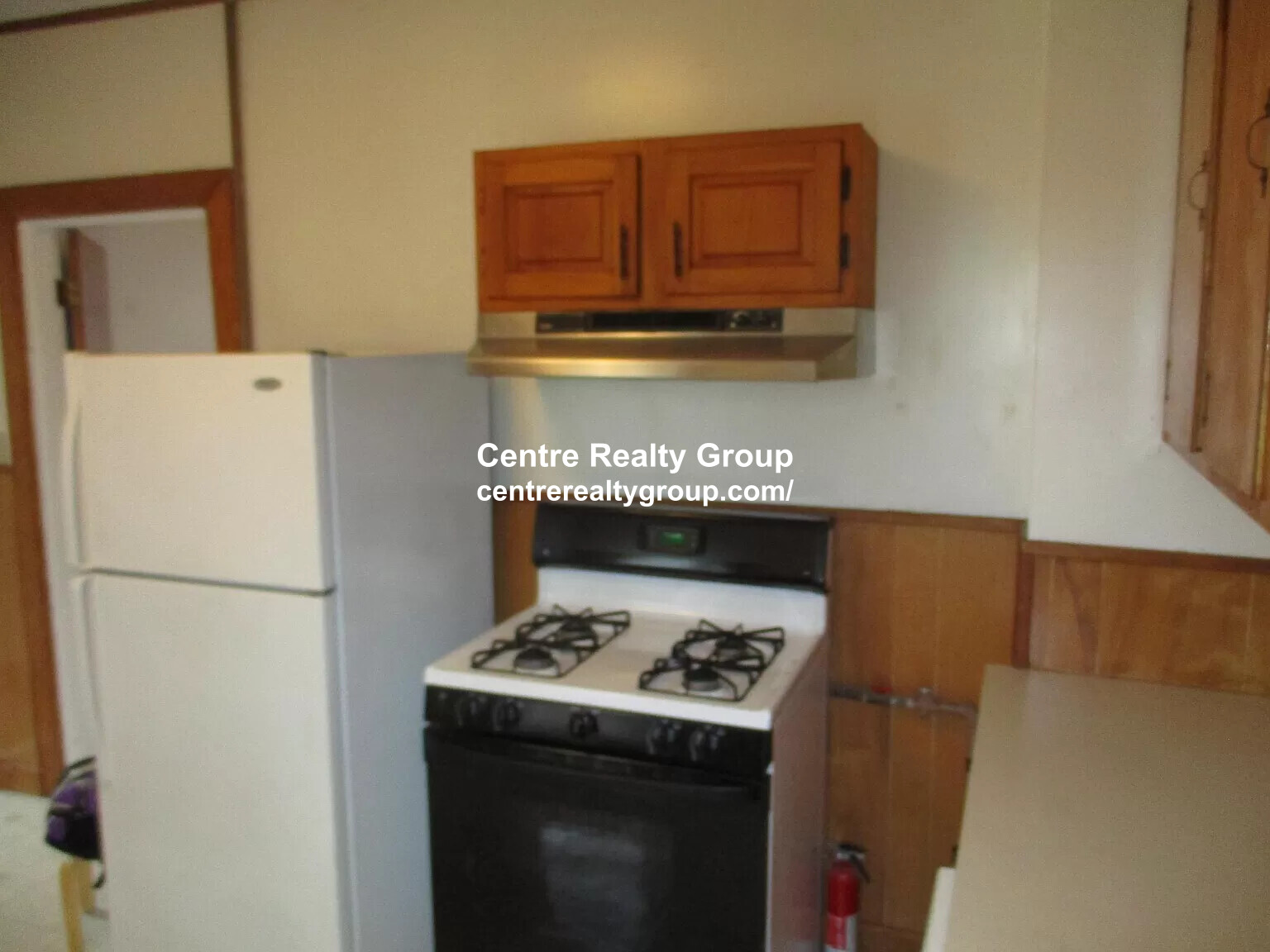 17 Abbott St, Newton Upper Falls