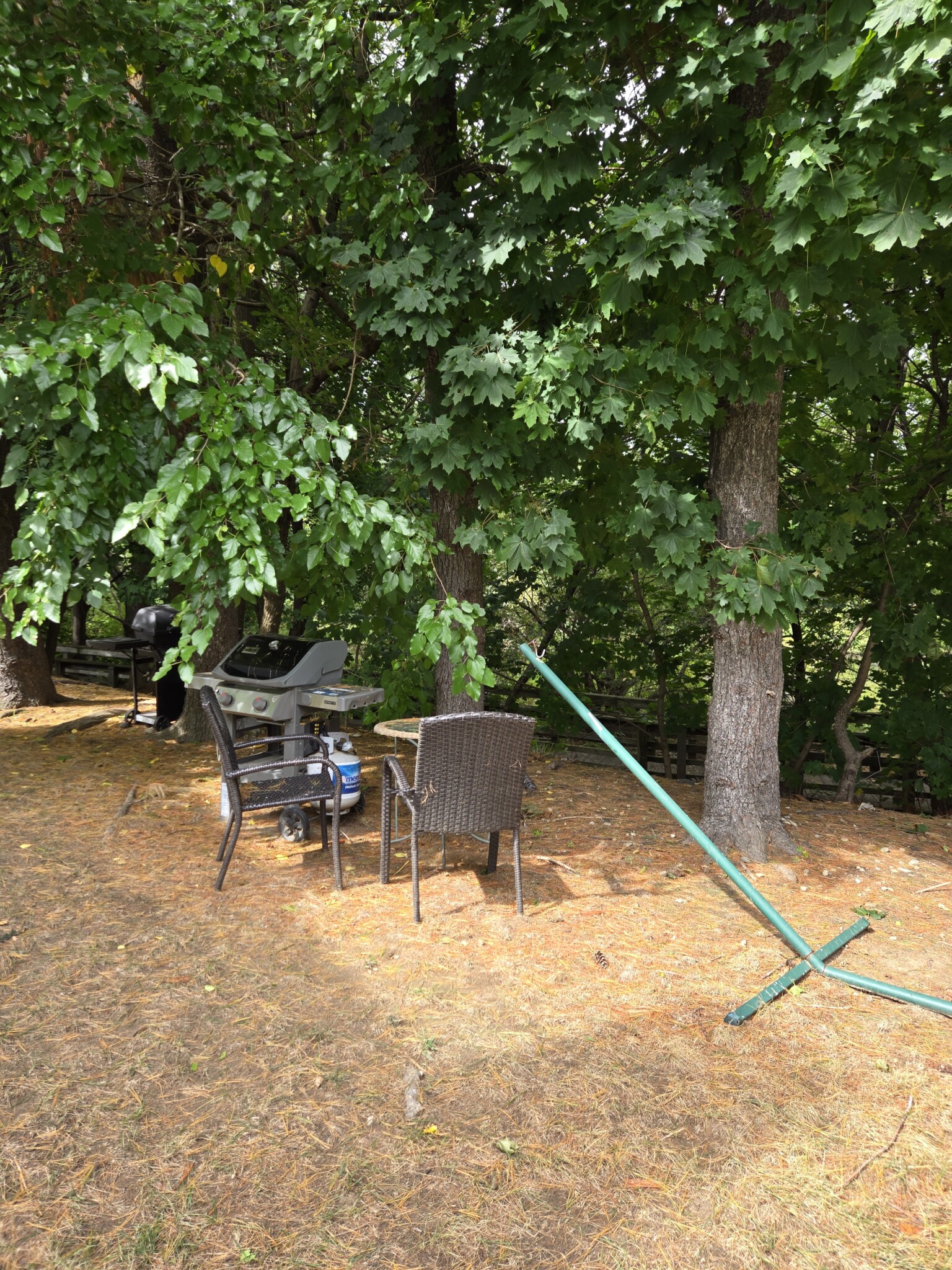 21 Rustic St, Nonantum