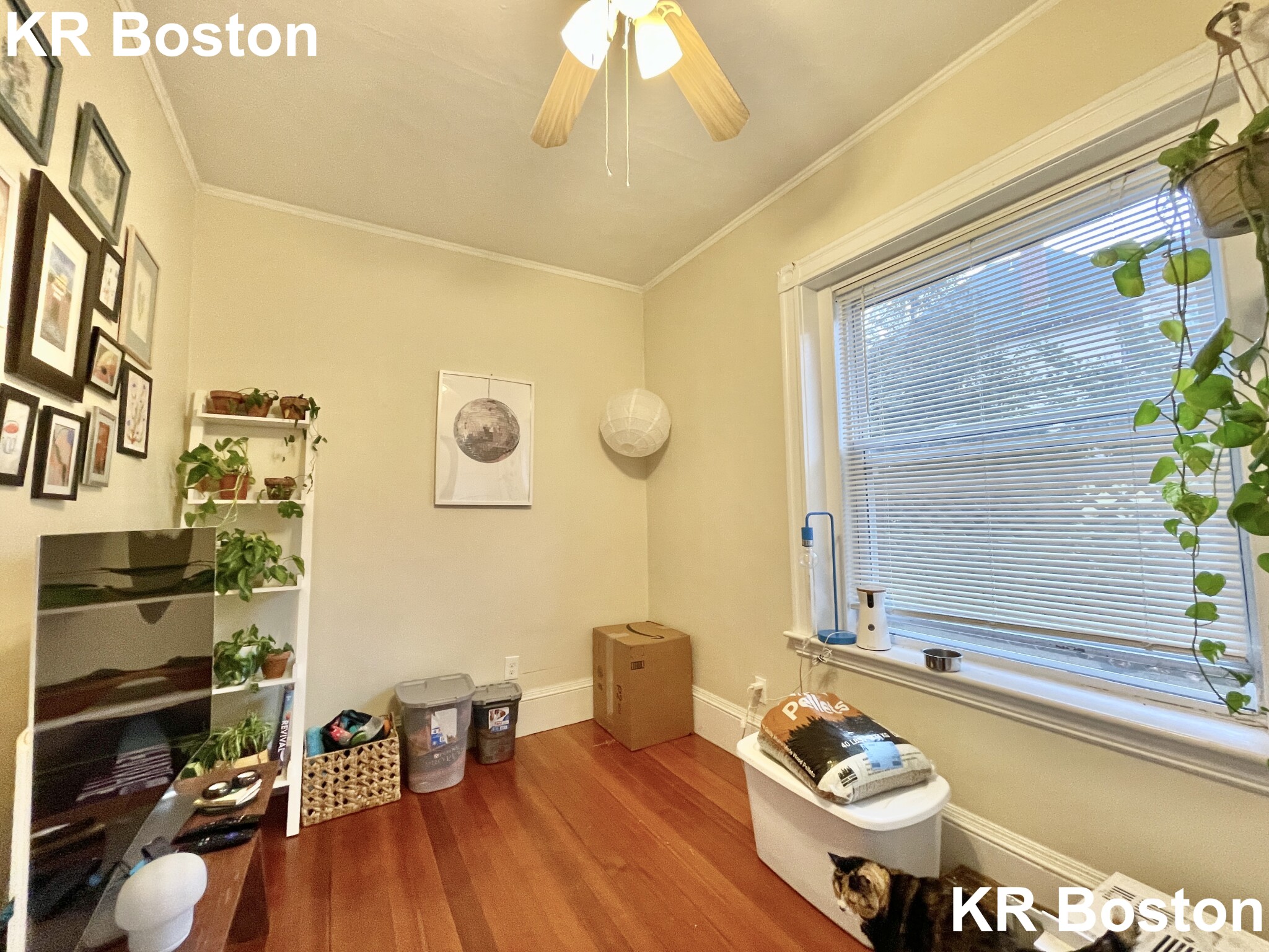 36 High St, Coolidge Corner