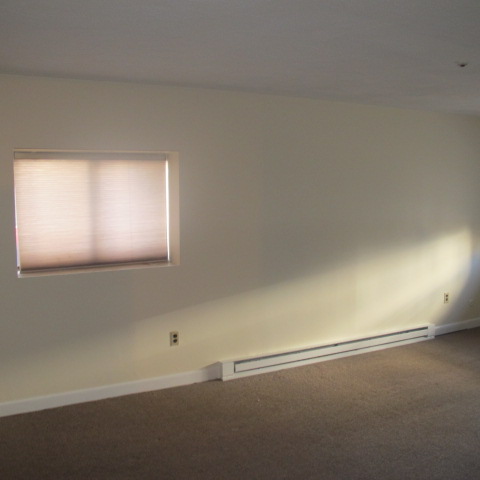 21 Myrtle St, Malden