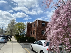 21 Myrtle St, Malden