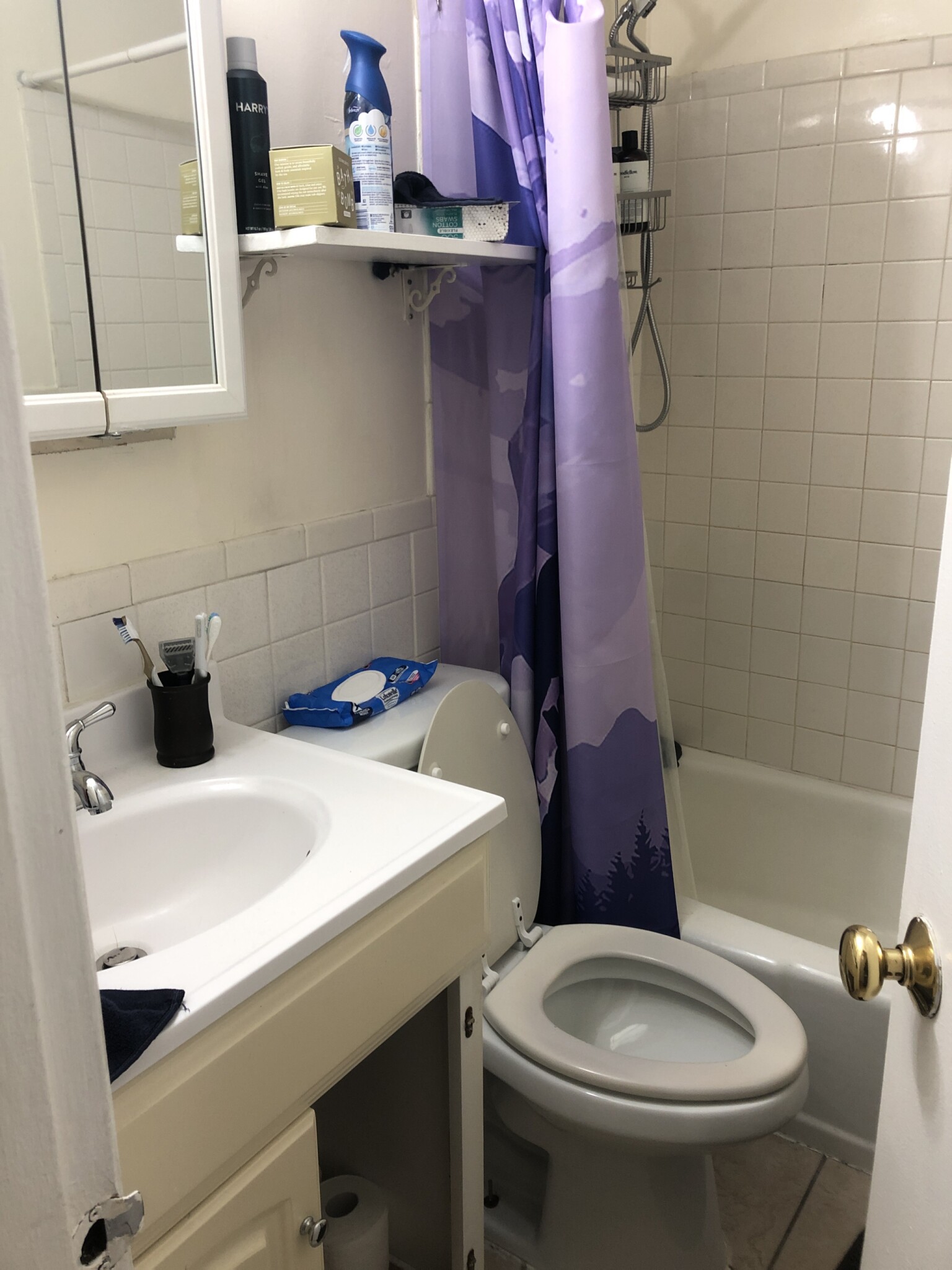 38 Gardent St, Beacon Hill