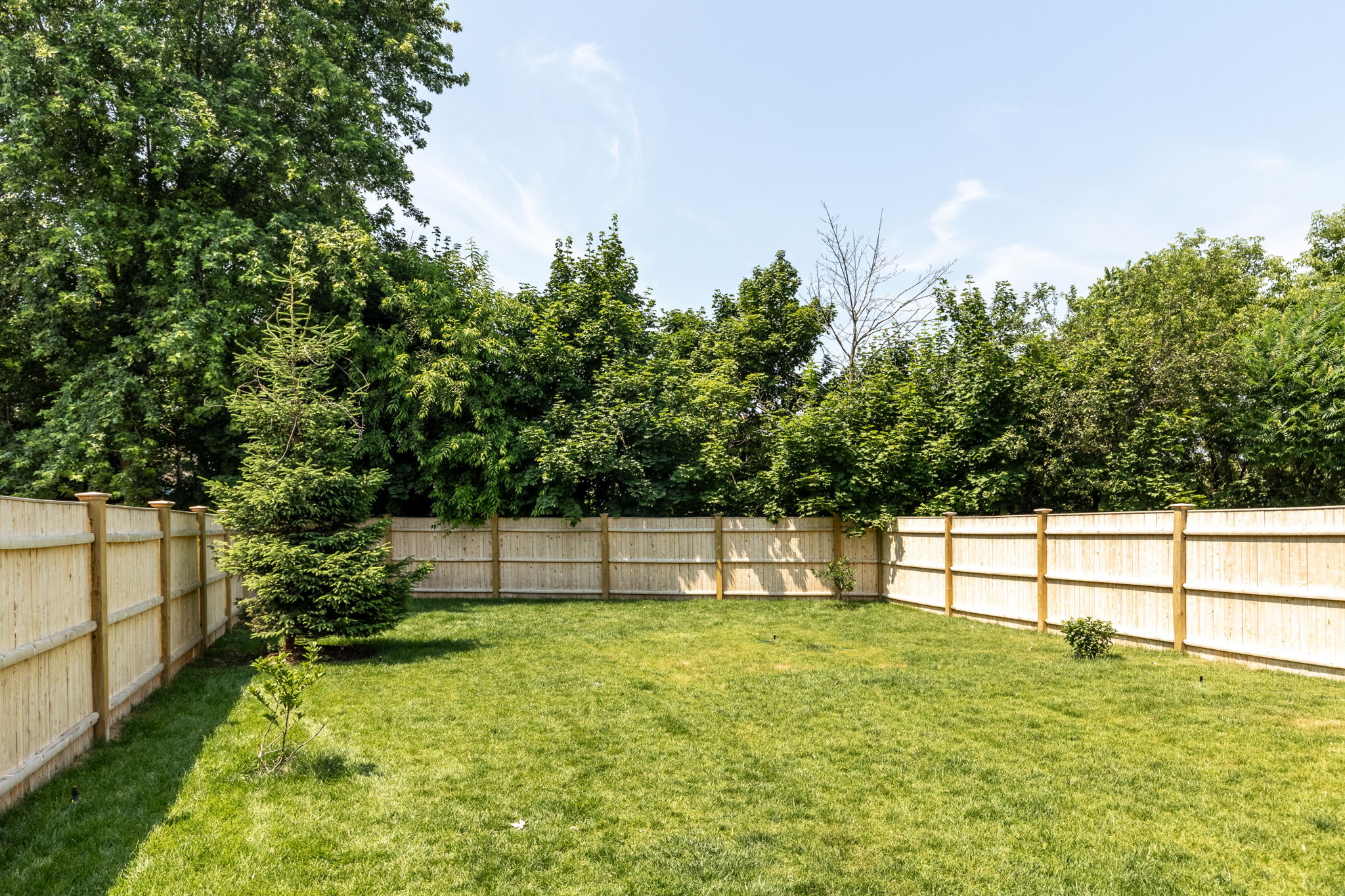 22 Belknap St, Arlington