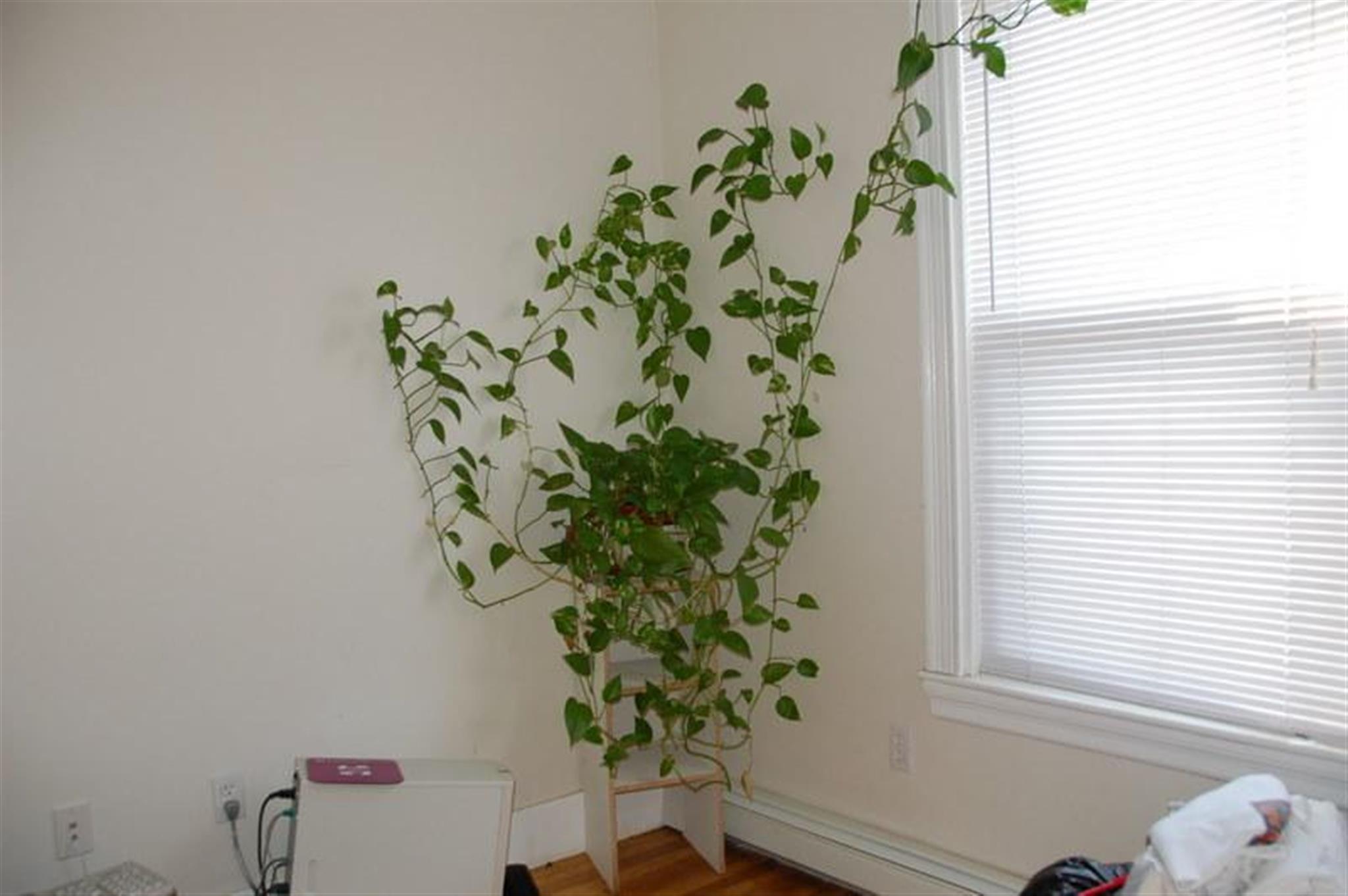 2 Portsmouth, Kendall Square