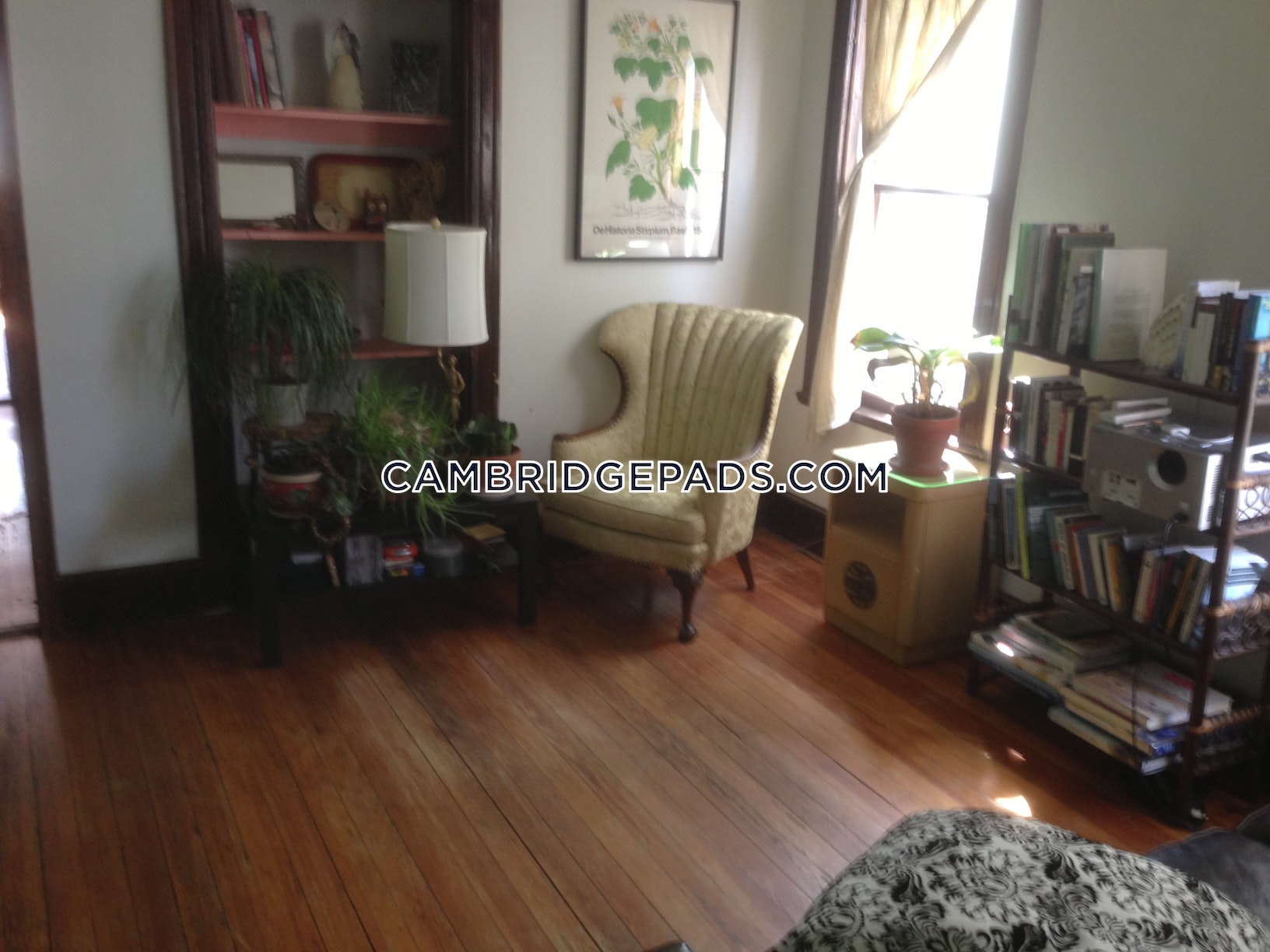 10 Clary St, Inman Square