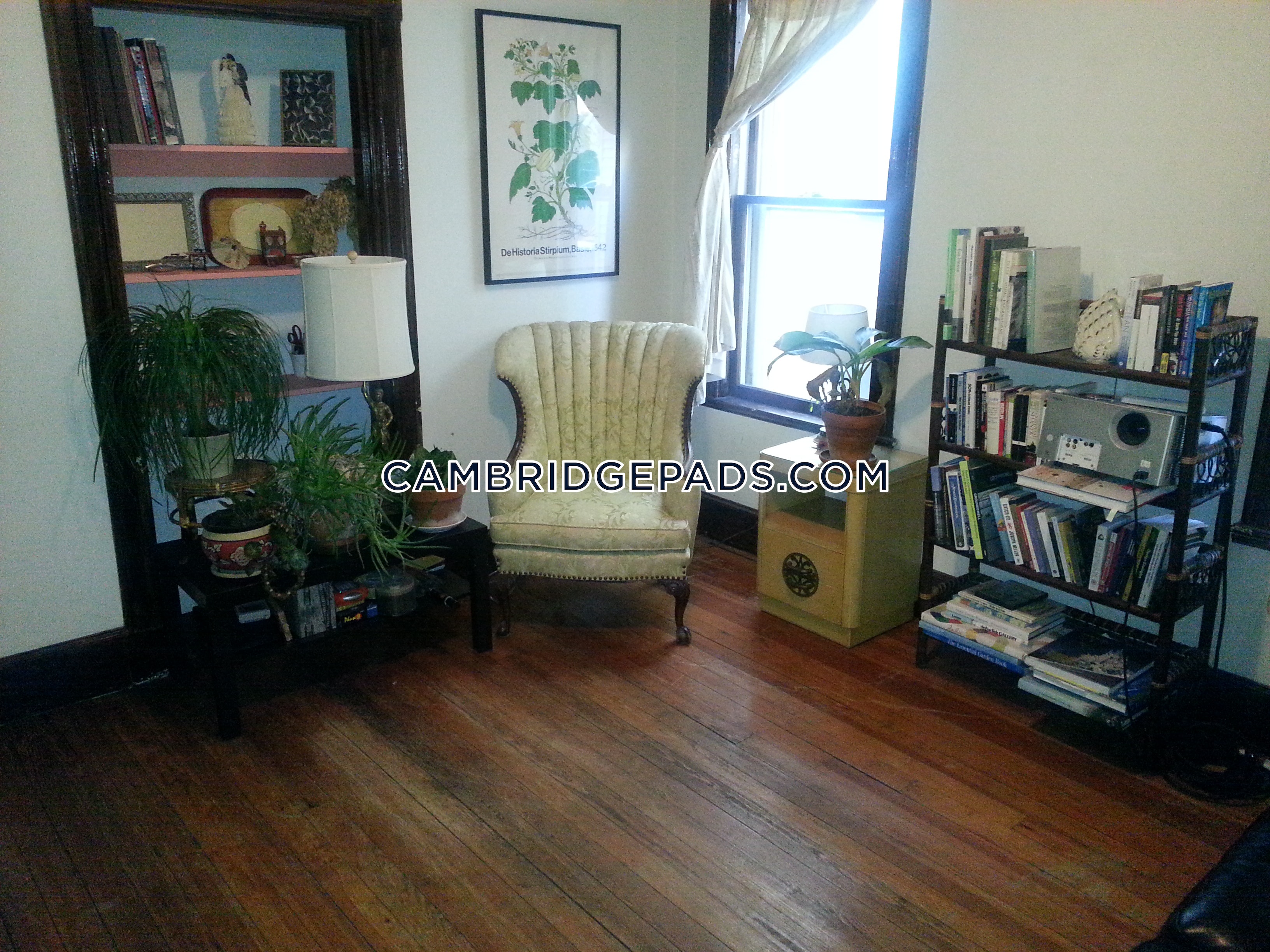 10 Clary St, Inman Square