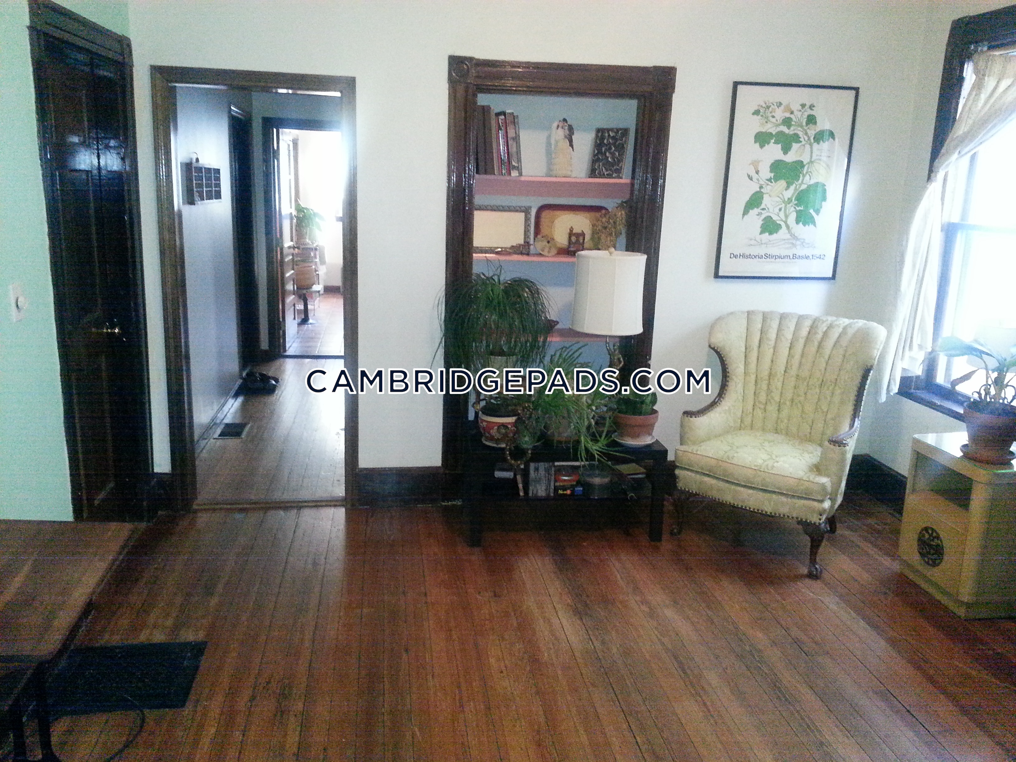 10 Clary St, Inman Square