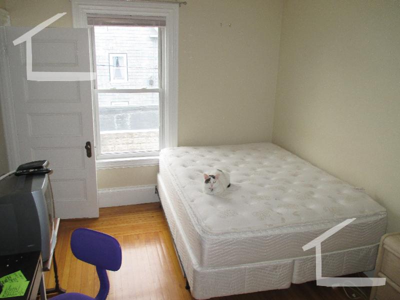 29 Montcalm Ave, Brighton