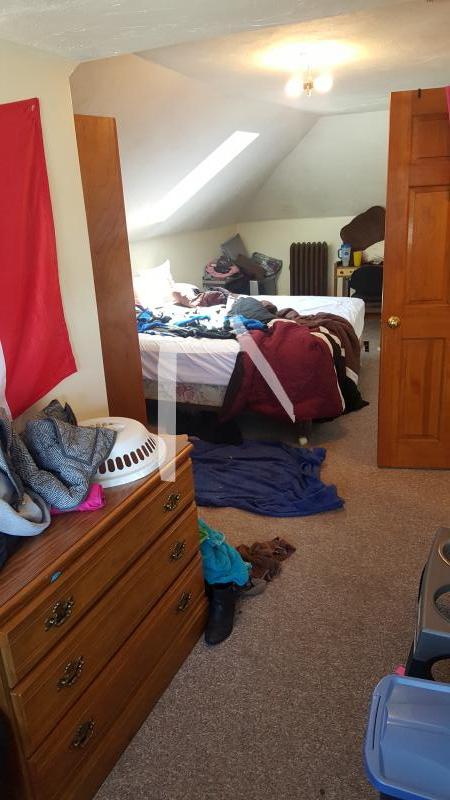 19 Priscilla Rd, Brighton