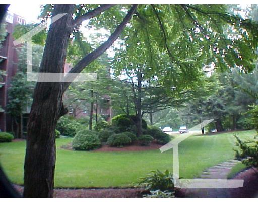 50 Broadlawn Park, Chestnut Hill