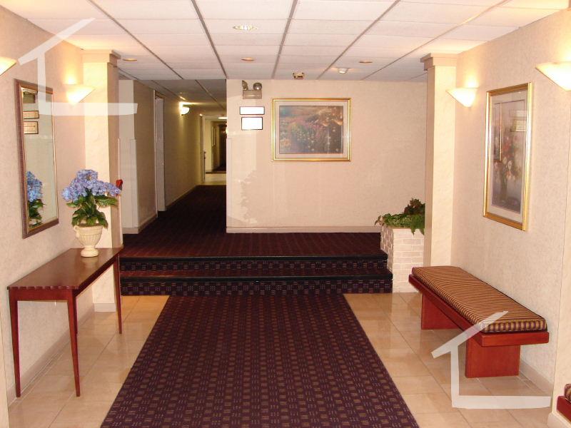 50 Broadlawn Park, Chestnut Hill