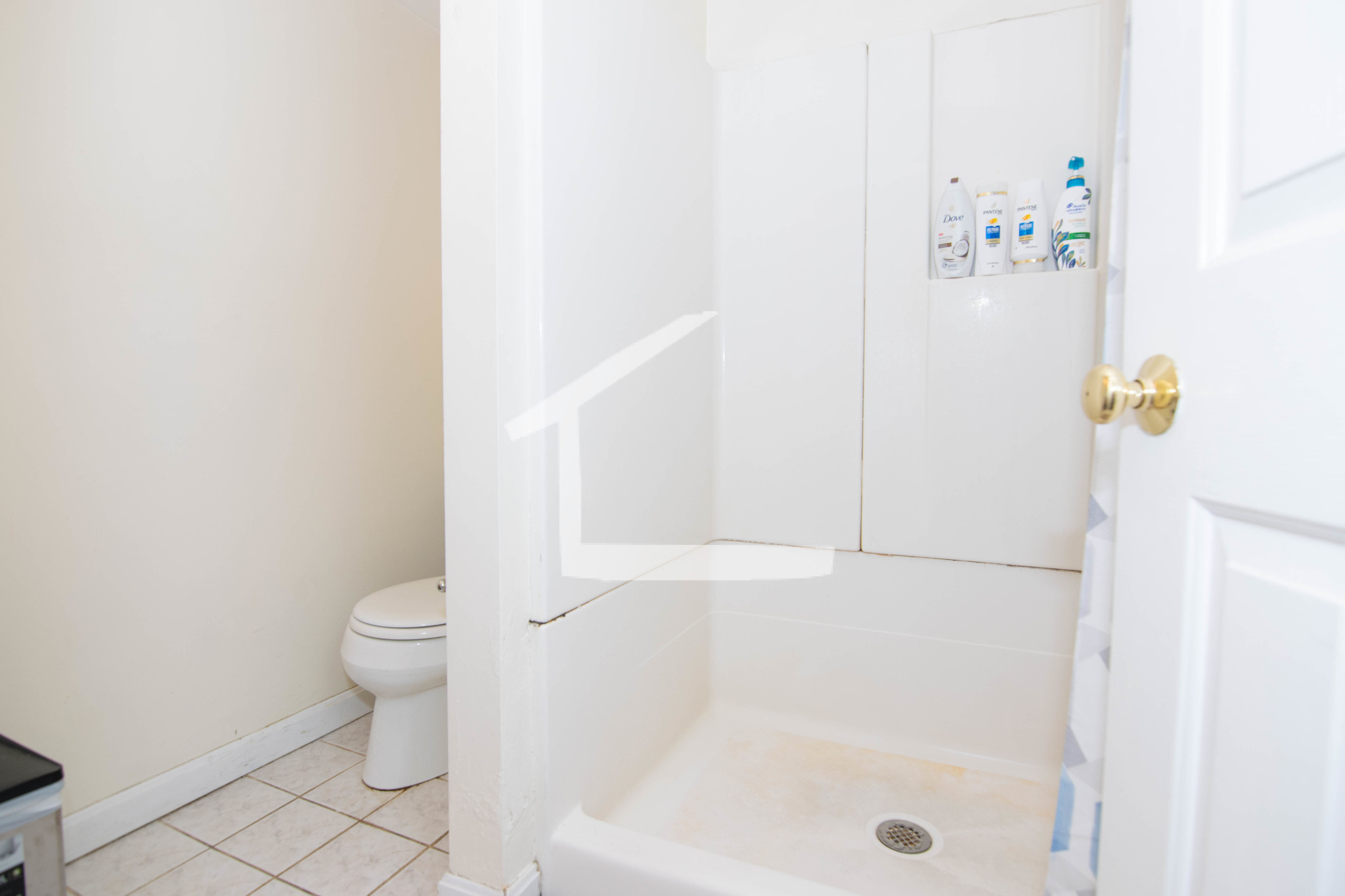 81 Gibbs, Coolidge Corner