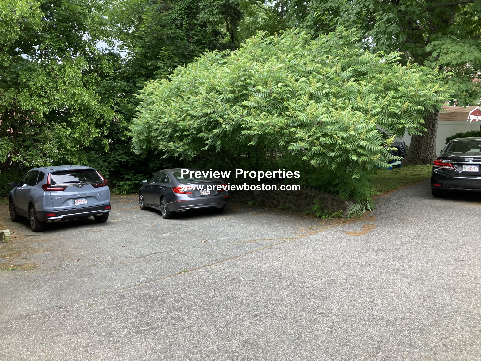 52 Westchester Rd, Newton