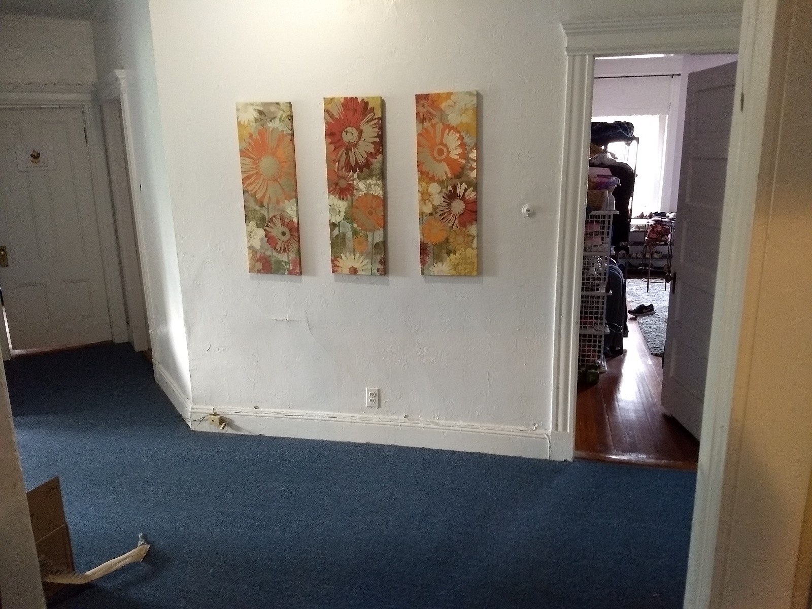 18 Mount Hood Rd, Brighton