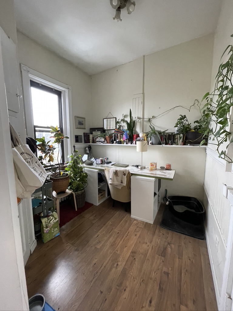 41 Bay State Rd, Fenway