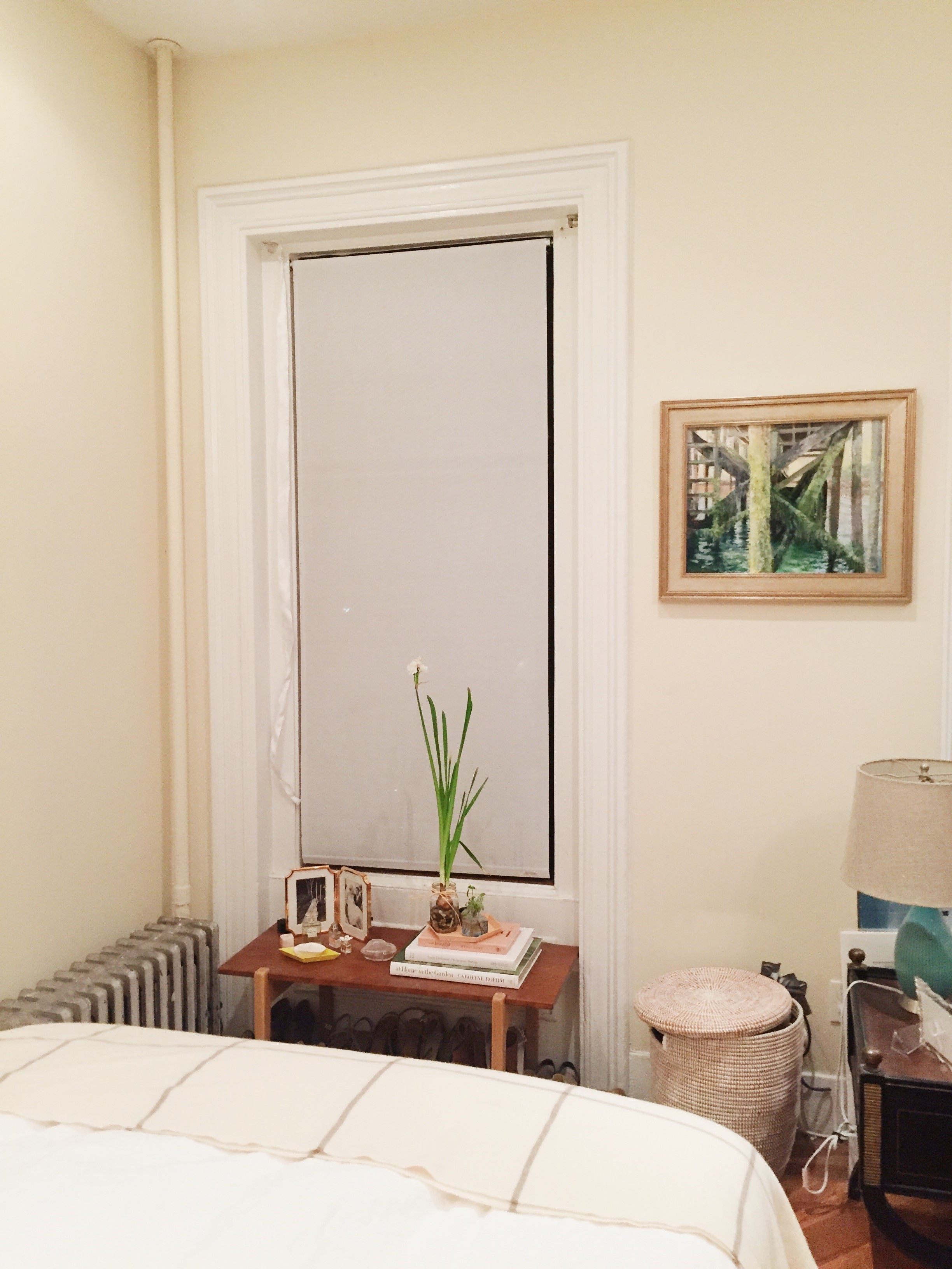 556 Columbus Ave, South End