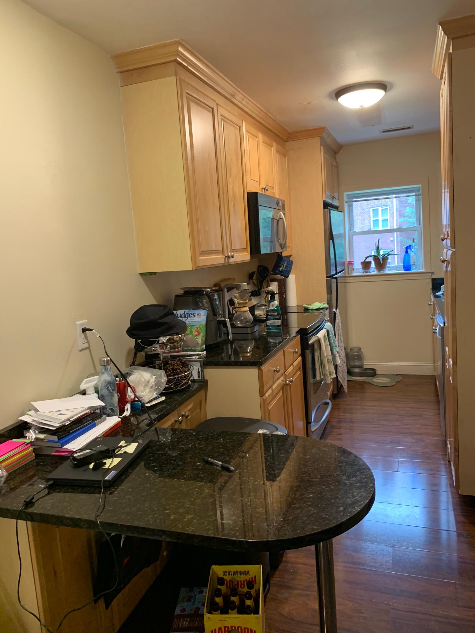 148 Newton, Brighton