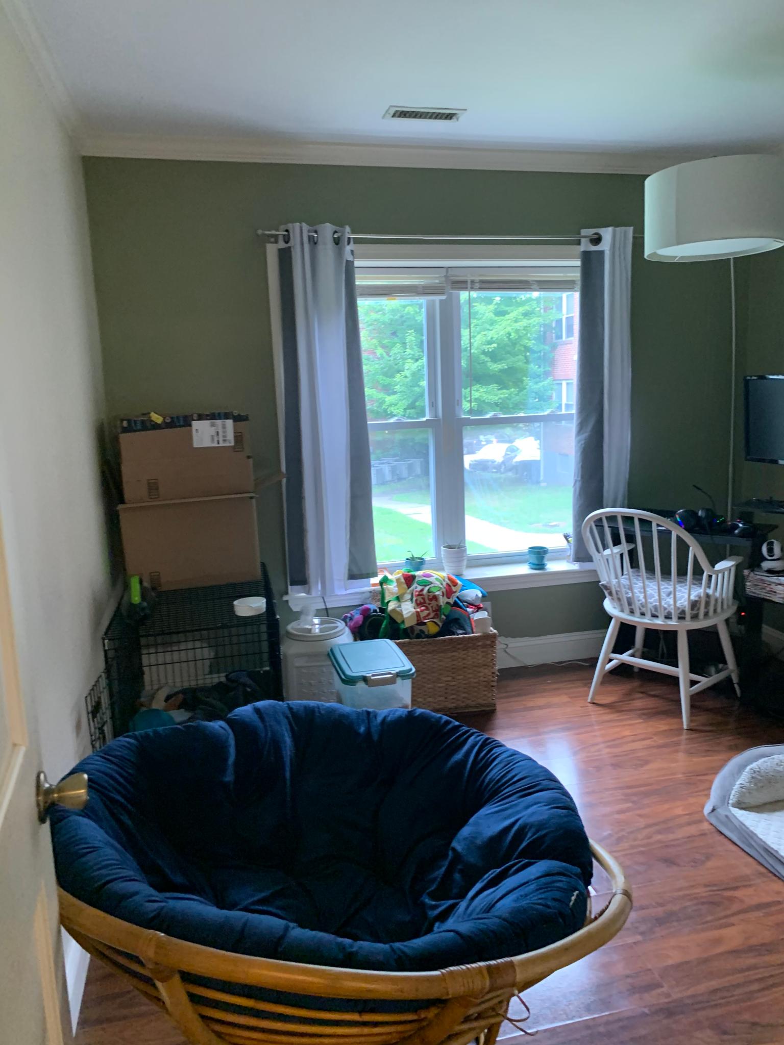 148 Newton, Brighton