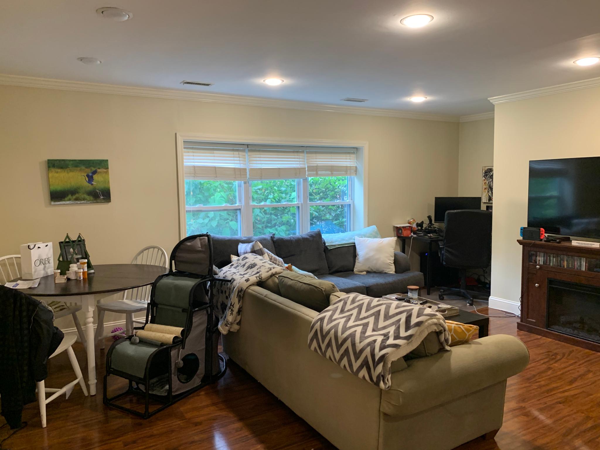 148 Newton, Brighton