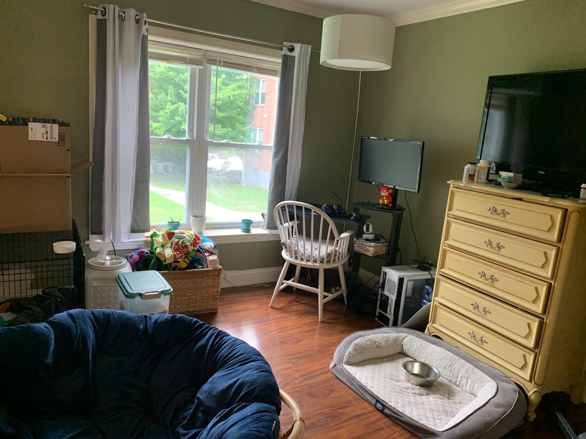 148 Newton, Brighton