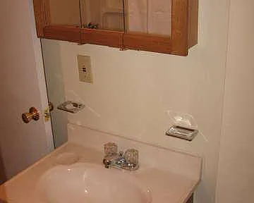 231 Harrison Ave, Chinatown