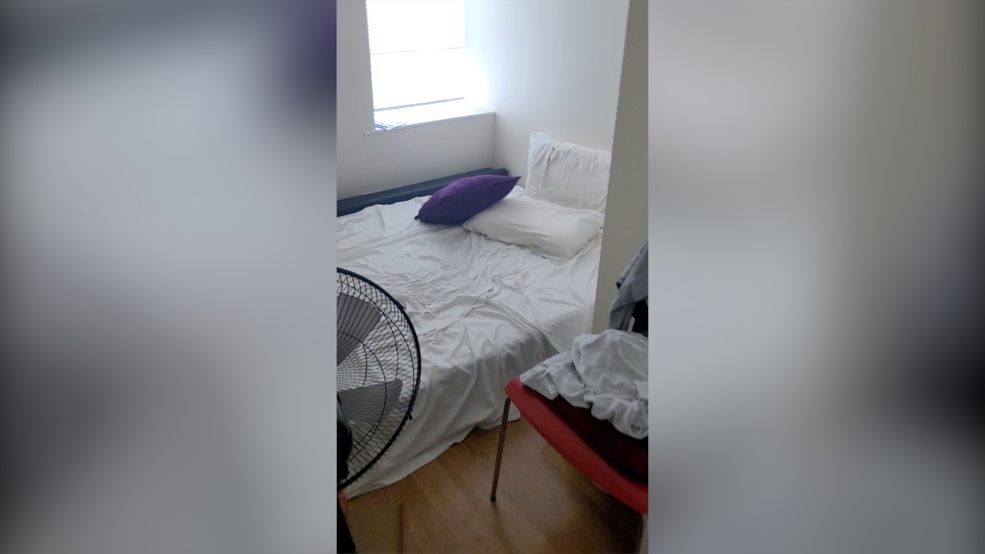 12 Lincoln St, Newton