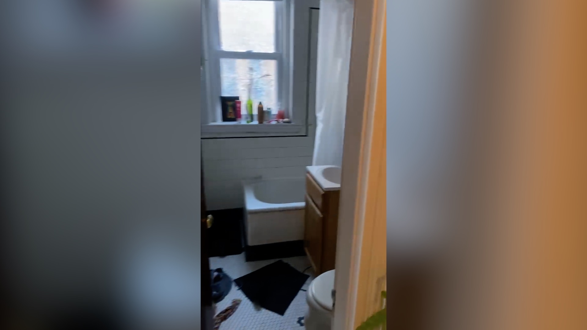 1800 Commonwealth Ave, Brighton