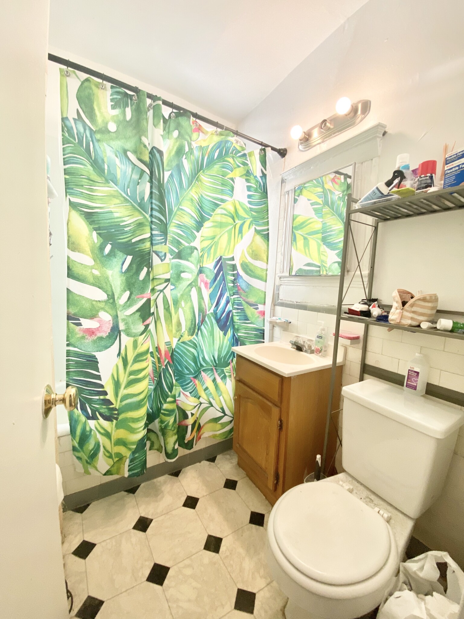 4 Vinal St, Brighton