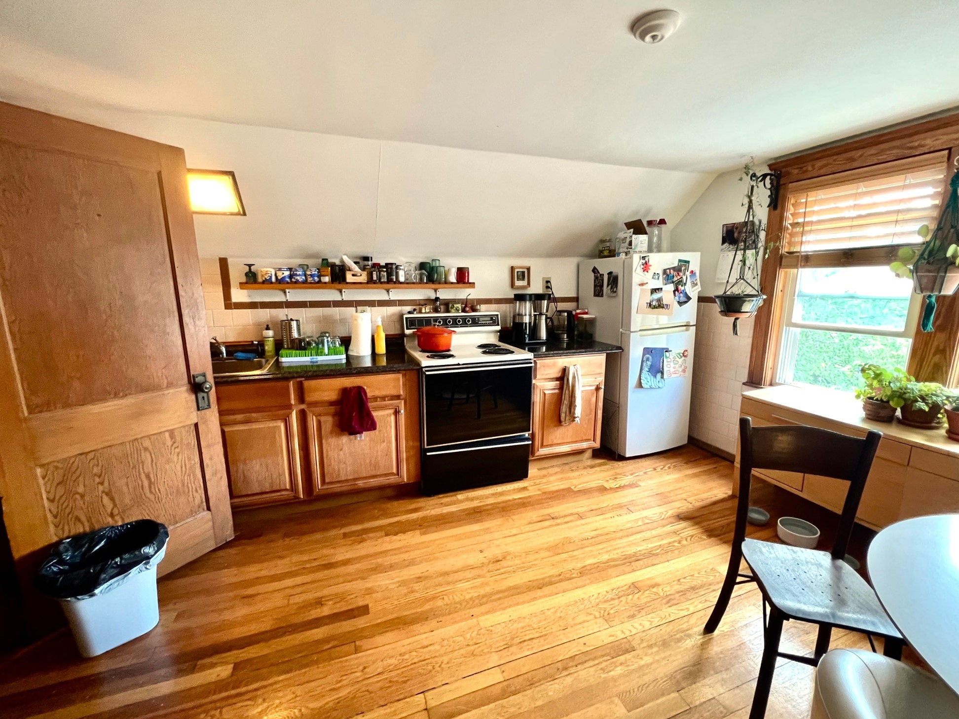 40 Alfred Rd, Arlington