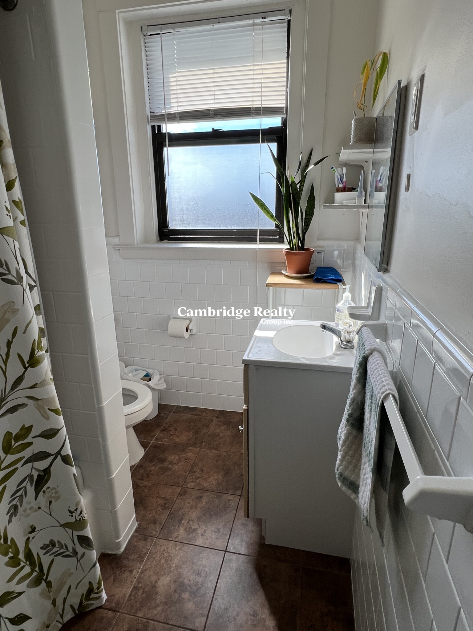 1010 Massachusetts Ave, Harvard Square